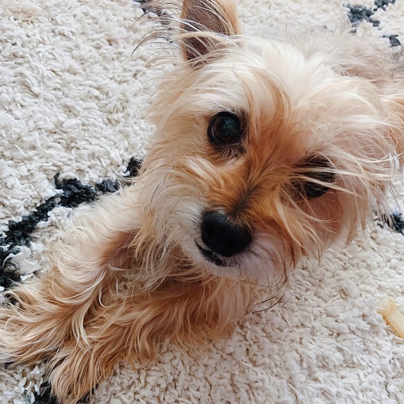 ⋒ let’s be friends ⋒ - Picture 6 of 7